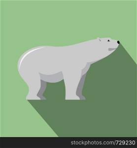 Watching of polar bear icon. Flat illustration of watching of polar bear vector icon for web design. Watching of polar bear icon, flat style