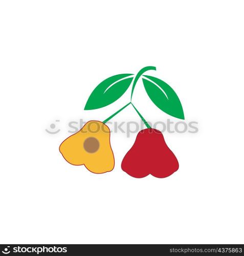 water apple guava vector design ilustration icon logo templat