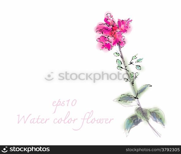 Water color flower on white background,tracing vector