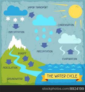 Water cycle poster with nature infographics vector image