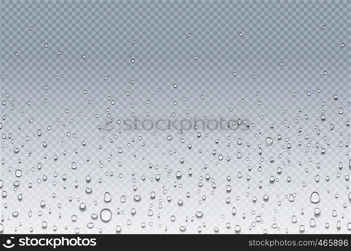 Water drops on glass. Rain droplets on transparent window, steam condensation pattern, shower glass. Vector water drops realistic background. Water drops on glass. Rain droplets on transparent window, steam condensation pattern, shower glass. Vector water drops background