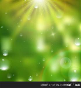 Water drops on green background. plus EPS10 vector file. Water drops on green background. plus EPS10