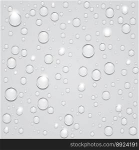 Water drops on white background vector image
