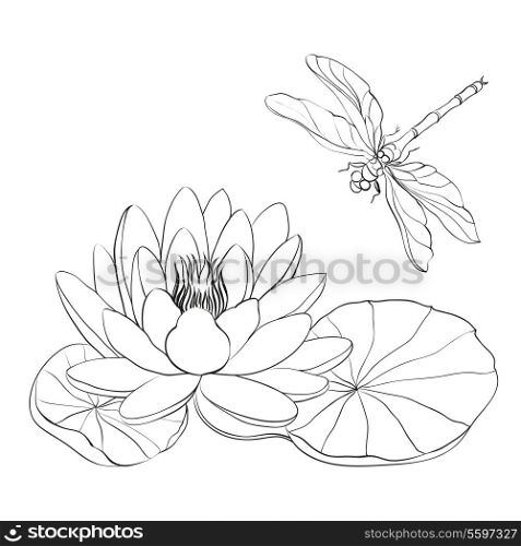 Water Lily and dragonfly isolated over white. Vector illustration.