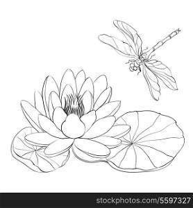 Water Lily and dragonfly isolated over white. Vector illustration.