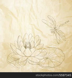 Water Lily and dragonfly old paper. Vector illustration.