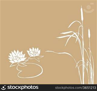 water lily and reed on brown background, vector illustration