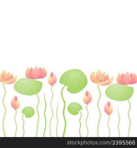Water Lily background