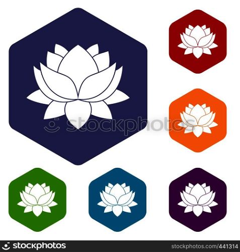 Water lily flower icons set hexagon isolated vector illustration. Water lily flower icons set hexagon