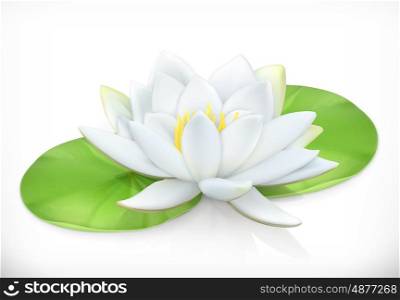 Water lily. Lotus flower. 3d vector icon