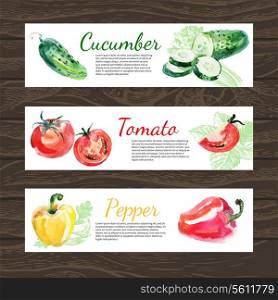 Watercolor and sketch vegetables organic food horizontal banner set. Design with cucumber, tomato and peppers. Vector illustration