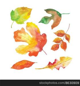 watercolor autumn leaves collection