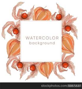 Watercolor background with physalis: plant and fruit. Tomatillo. Superfood.. Watercolor background with physalis: plant and fruit. Tomatillo. Superfood. Vector hand drawn illustration