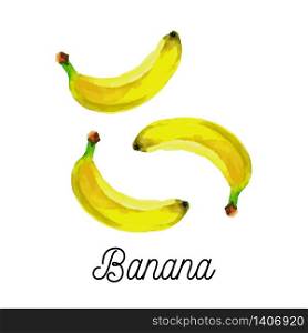 Watercolor banana fruit vector vegetarian food. Watercolor banana fruit vector vegetarian food fresh