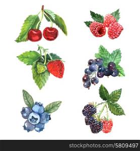 Watercolor berry set with cherry raspberry strawberry isolated vector illustration. Watercolor Berry Set