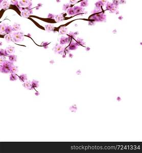 Watercolor branch blossom sakura, cherry tree with flowers isolated on white background. Hand drawn. Vector