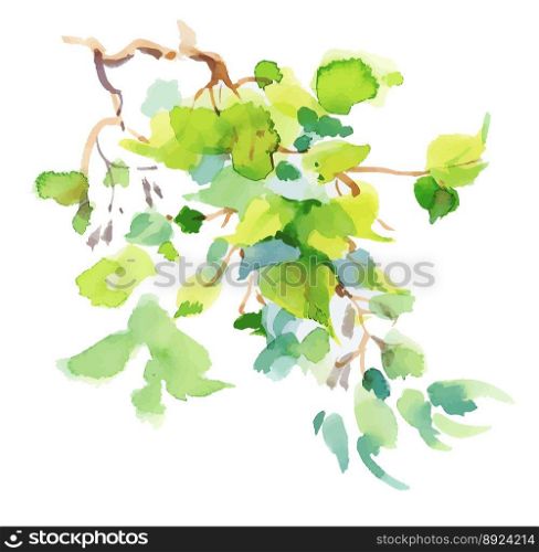 Watercolor branch with green leaves on white vector image