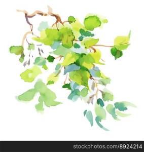 Watercolor branch with green leaves on white vector image