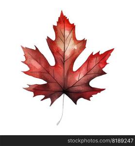 Watercolor Canada Stylized Red Maple Leaf - vector art