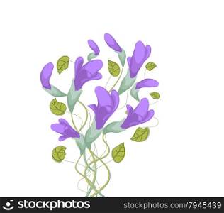 Watercolor - Cosmos flowers