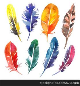Watercolor feather set. Hand drawn vector illustration
