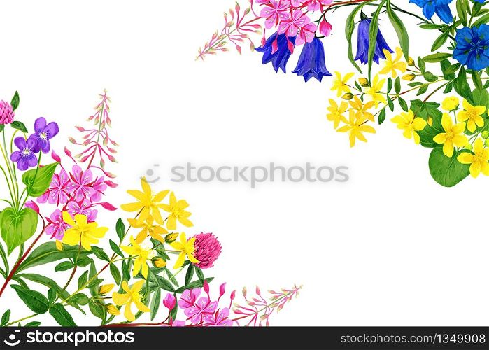 Watercolor field flowers, bright colors, corner frame, hand drawn illustration