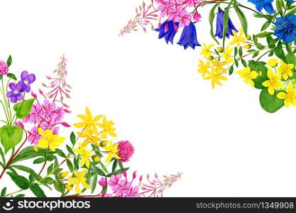Watercolor field flowers, bright colors, corner frame, hand drawn illustration