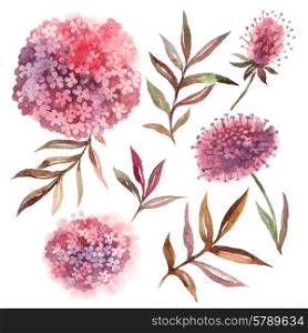 Watercolor floral set. Collection with leaves and flowers, painting watercolor. Design elements for invitation, wedding or greeting cards. Vector illustration