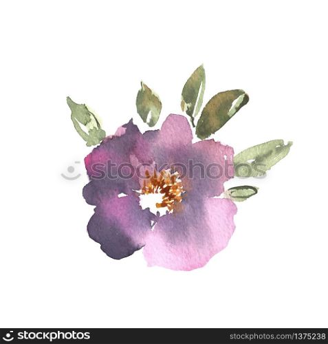 Watercolor flower, hand drawn colorful beautiful blossom purple plant for cards prints and invitation. Vector floral illustration. Watercolor flower, hand drawn colorful beautiful blossom purple plant for cards prints and invitation. Vector