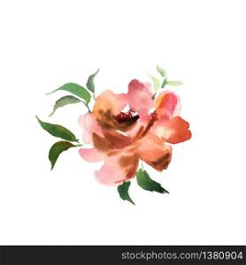 Watercolor flower. Orange beautiful hand drawn rose. Design for invitation, wedding or greeting cards. Vector illustration . Watercolor flower. Orange beautiful hand drawn rose. Design for