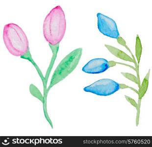 Watercolor flowering branch, vector illustration