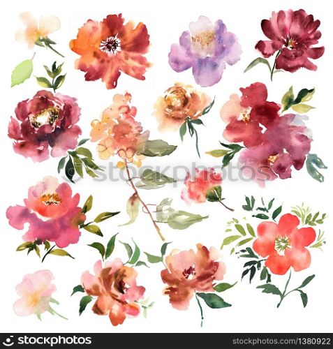 Watercolor flowers hand drawn colorful beautiful floral set with yellow pink red blossom plant for cards prints and invitation. Vector illustration. Watercolor flowers hand drawn colorful beautiful floral set with