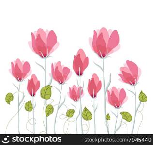 Watercolor Flowers, Poppies