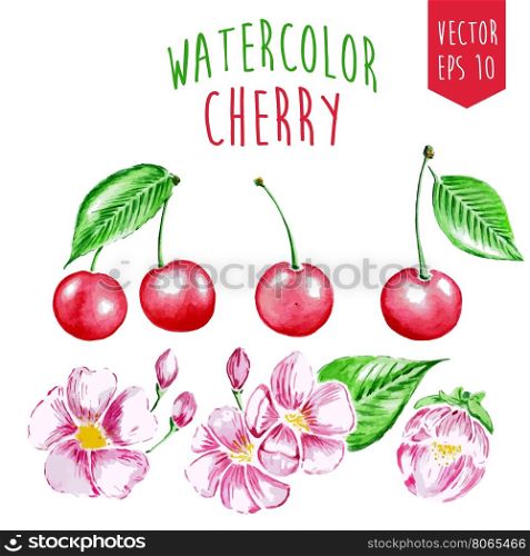Watercolor hand-drawn cherry and frowers. Isolaterd vector elements for design.