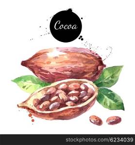 Watercolor hand drawn cocoa pod. Isolated organic natural eco vector illustration on white background