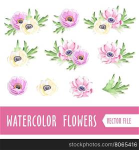 Watercolor hand drawn flowers in white background. Isolated design elements.