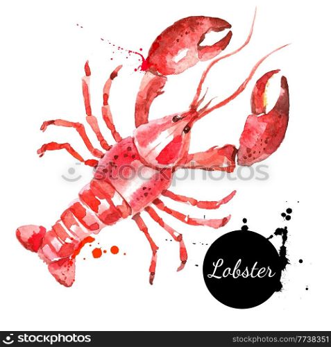 Watercolor hand drawn lobster. Isolated fresh seafood or shellfish food vector illustration on white background