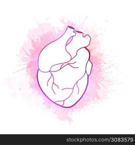 Watercolor illustration of outline realistic heart with splash. Medical picture. Original delicate element for cards on Valentine Day separate from the background. Vector object for your creativity. Watercolor illustration of outline realistic heart with splash. Medical picture. Original delicate element for cards on Valentine Day