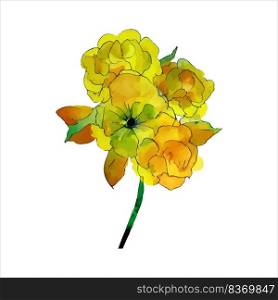Watercolor illustration. Yellow yellow flowers watercolor isolated in retro style on white background.. Beautiful watercolor illustration with yellow flower isolated on white background for decorative design.