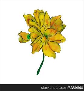 Watercolor illustration. Yellow yellow flowers watercolor isolated in retro style on white background.. Beautiful watercolor illustration with yellow flower isolated on white background for decorative design.