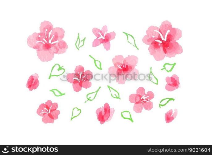 Watercolor images of sakura blossom. Abstract hand painted pink flowers, fully opened and buds, with leaves silhouettes. Collection of aquarelle feminine springtime design elements, isolated on white. Watercolor sakura blossom, cherry flowers and leaves