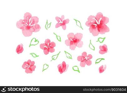 Watercolor images of sakura blossom. Abstract hand painted pink flowers, fully opened and buds, with leaves silhouettes. Collection of aquarelle feminine springtime design elements, isolated on white. Watercolor sakura blossom, cherry flowers and leaves