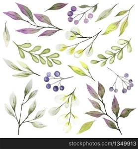 Watercolor leaves and branches, berries, tiny delicate flora colllection, greenery set, hand drawn vector illustration