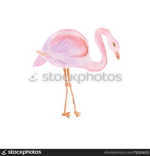 Watercolor painted illustration of flamingo. Vector format. Watercolor painted illustration of flamingo.