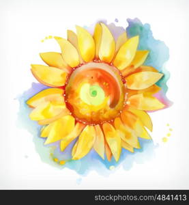 Watercolor painting, sunflower, vector illustration, isolated on a white background