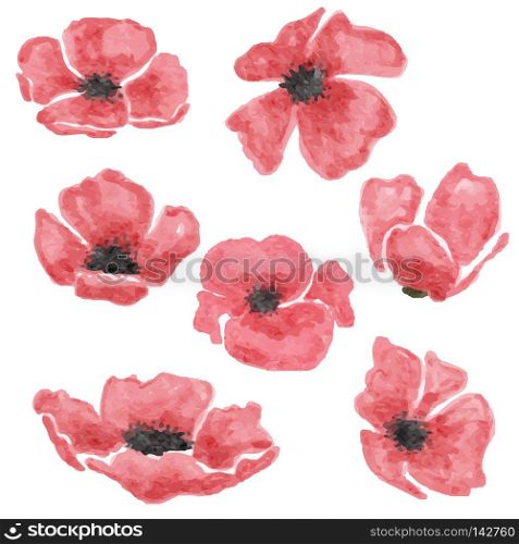 watercolor poppy flowers set isolated on white background, vector format