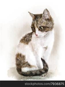 watercolor portrait of the cat