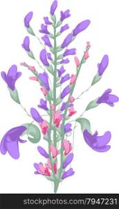 watercolor purple and pink flowers