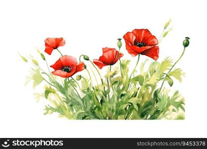 Watercolor red poppies in green grass. Vector illustration design.