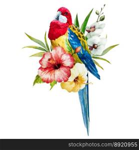 Watercolor rosella bird vector image